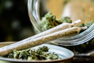 Georgia Pharmacies To Sell “Oregano” Instead of Marijuana After DEA Ruling