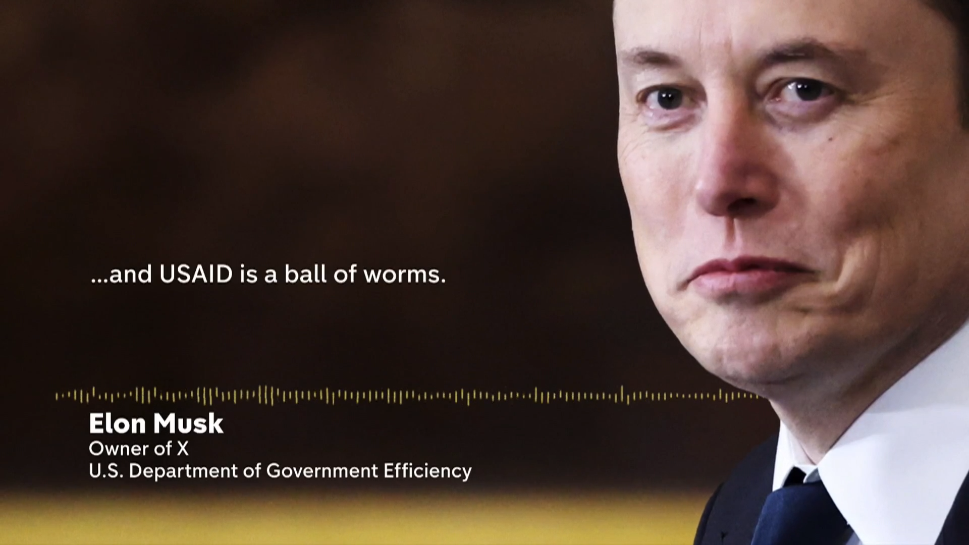 Musk has USAIDs
