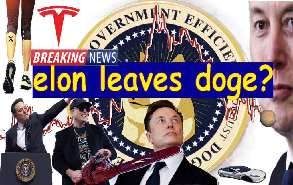 Elon Leaves DOGE To Focus On Kids, No, Wait, Tesla