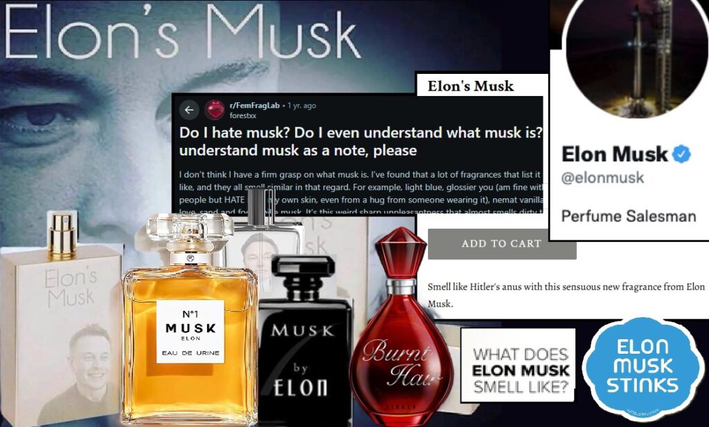 Elon Musk Smells