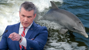 Pentagon Can’t “Confirm Or Deny” Training “Kamikaze Dolphins”